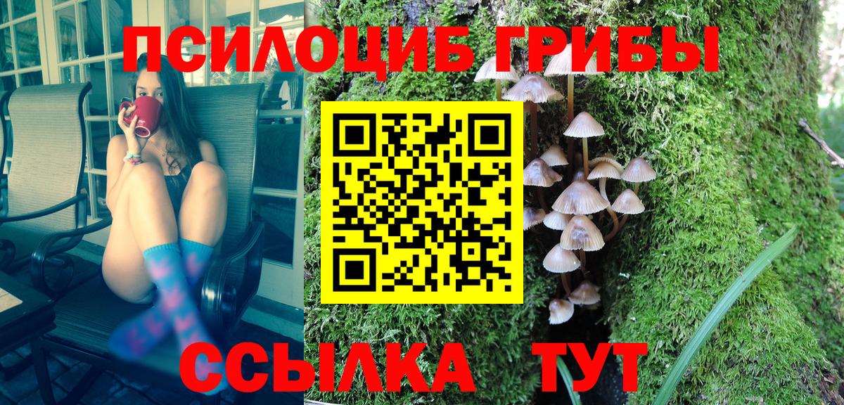 Иваново  Псилоцибиновые грибы Cubensis  Псилоцибиновые грибы мухоморы  Вход с VPN 